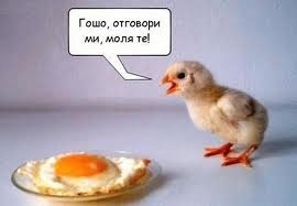 Яки картинки