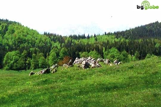 Българка