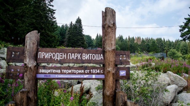 Витоша