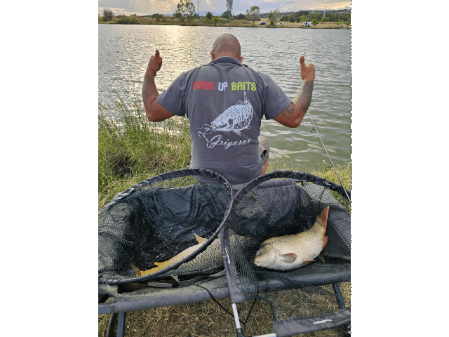 Back Up Baits