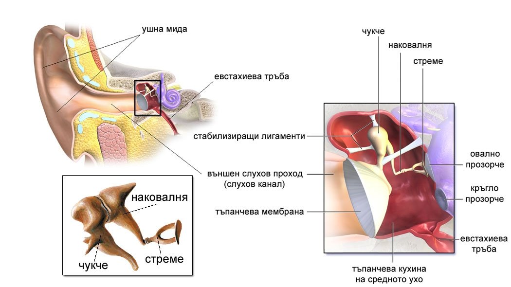 Наковалня