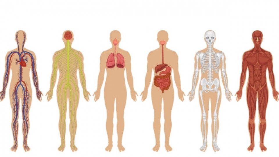 biologiqizdraveopazvane.alle.bg