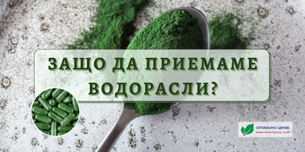 Защо да приемаме водорасли? | BioVitalex - Оптимално Здраве