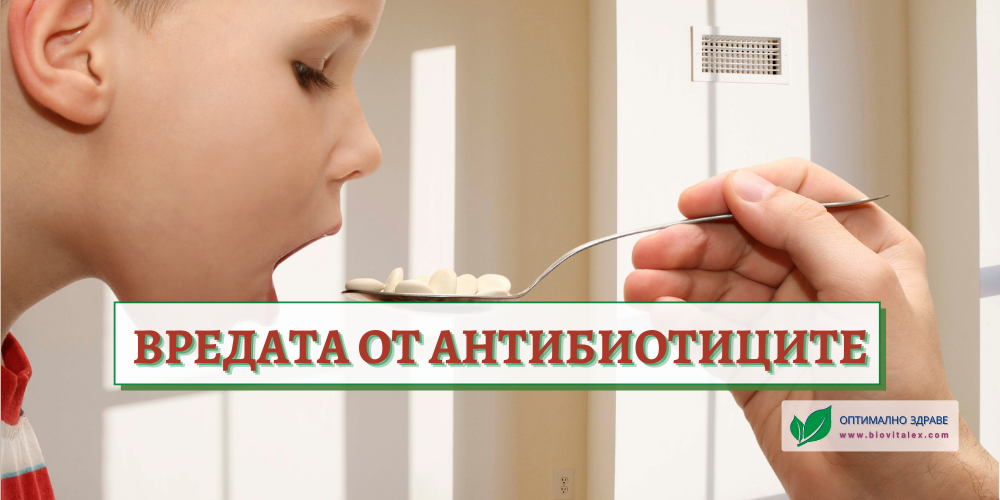 Вредата от антибиотиците | BioVitalex - Оптимално Здраве