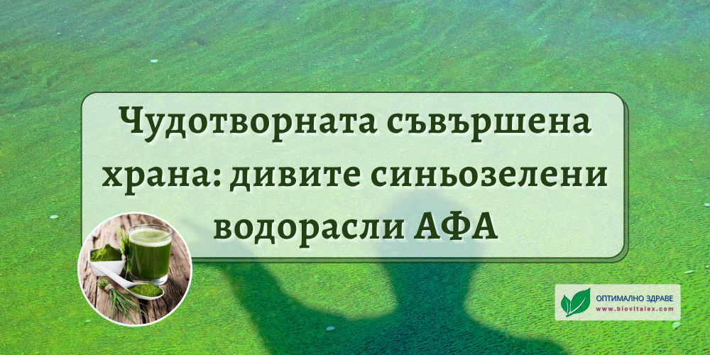 Чудотворната съвършена храна: дивите синьозелени водорасли АФА | BioVitalex - Оптимално Здраве