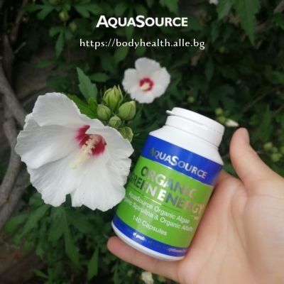 Зелена Енергия