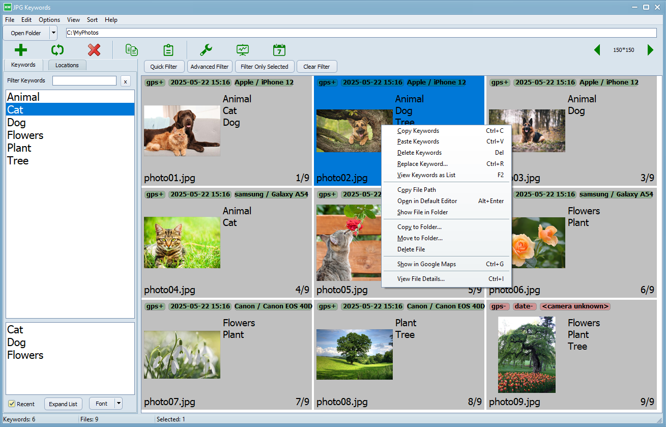 Main JpgKeywords window with grid context menu
