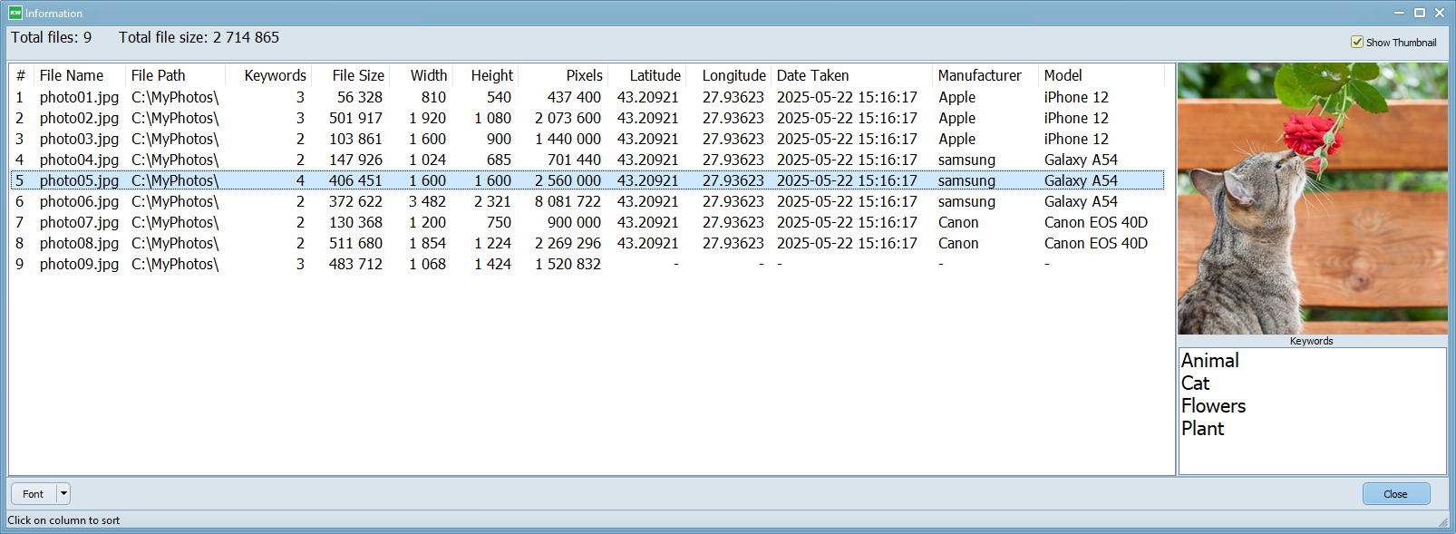 JpgKeywords view file details window