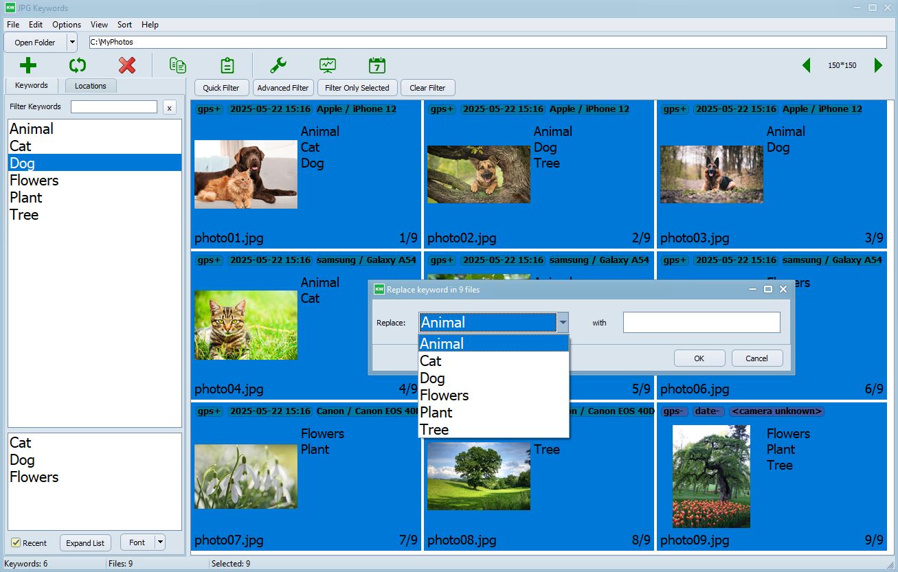 JpgKeyword replace keyword dialog
