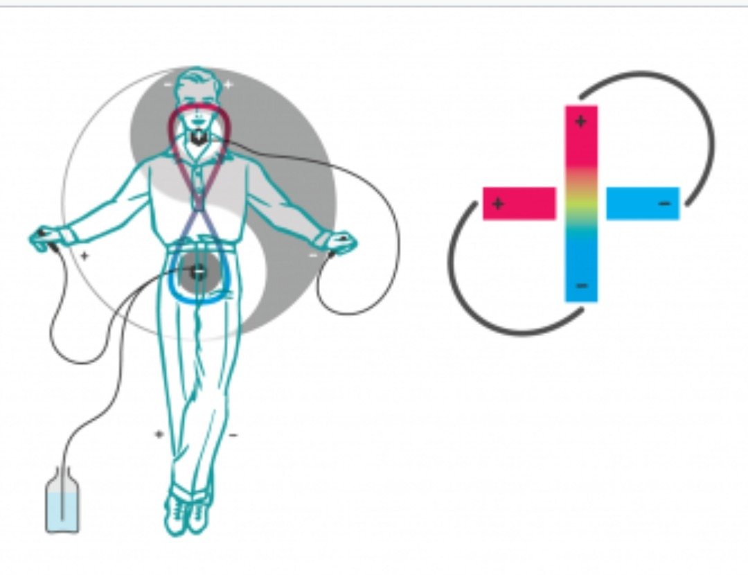 БИОВЕРИГИ НА EEMAN | ЕЛЕКТРОПУНКТУРА