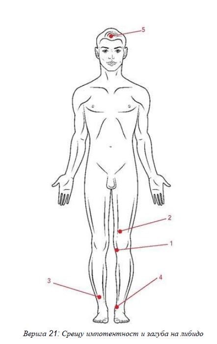 ВЕРИГА №21 ЛИБИДО | ЕЛЕКТРОПУНКТУРА