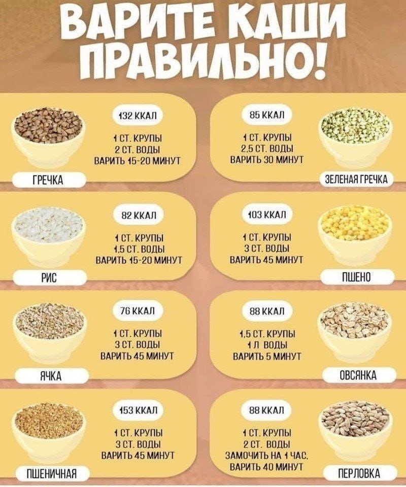 ЗЪРНЕНИТЕ ХРАНИ В ПОДКРЕПА НА ЗДРАВЕТО | ЕЛЕКТРОПУНКТУРА