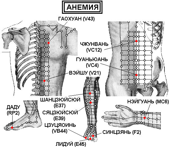 Е 5 точка. Точечный массаж при анемии. Точки акупунктуры при воспалении легких. Акупунктура при ДЦП точки. Точки акупунктуры при анемии.