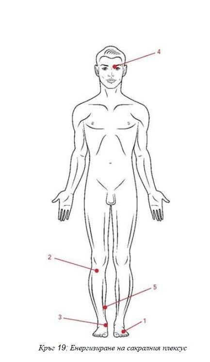 ВЕРИГА №19 САКРАЛЕН ПЛЕКСУС | ЕЛЕКТРОПУНКТУРА