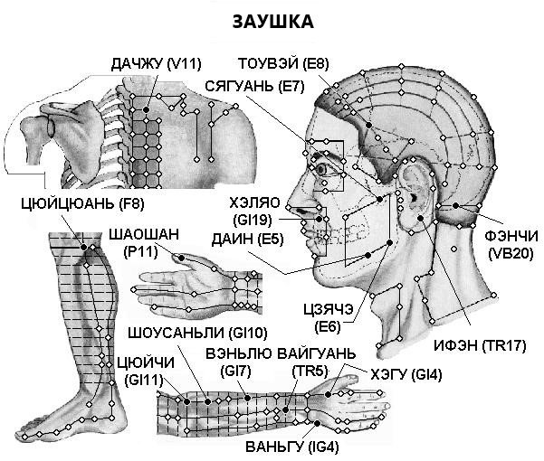 ЗАУШКА | ЕЛЕКТРОПУНКТУРА