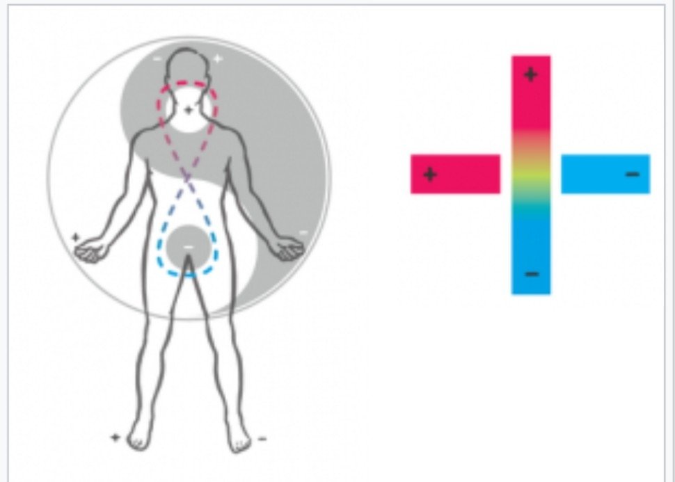 БИОВЕРИГИ НА EEMAN | ЕЛЕКТРОПУНКТУРА