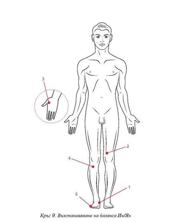 ВЕРИГА №9 БАЛАНС НА ИН И ЯН | ЕЛЕКТРОПУНКТУРА