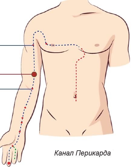 БЪРЗА ПОМОЩ ПРИ ПРОБЛЕМИ СЪС СЪРЦЕТО | ЕЛЕКТРОПУНКТУРА