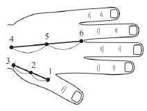 Повишаване на енергията и намаляване на стреса чрез Су Джок | ЕЛЕКТРОПУНКТУРА
