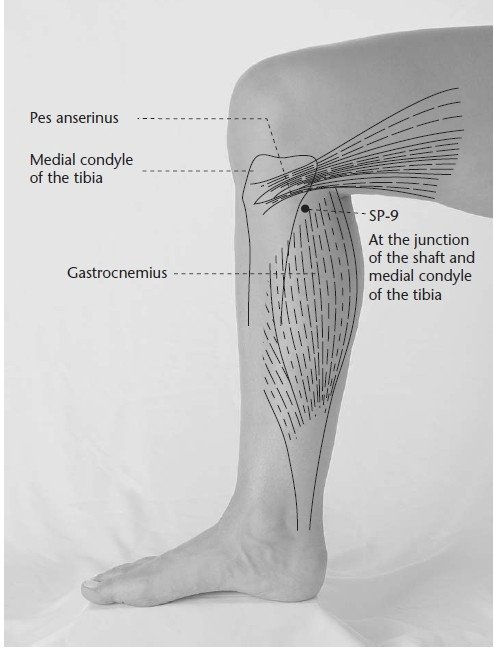 RP9 Ин-лин-цюан (извор на хълма) | ЕЛЕКТРОПУНКТУРА