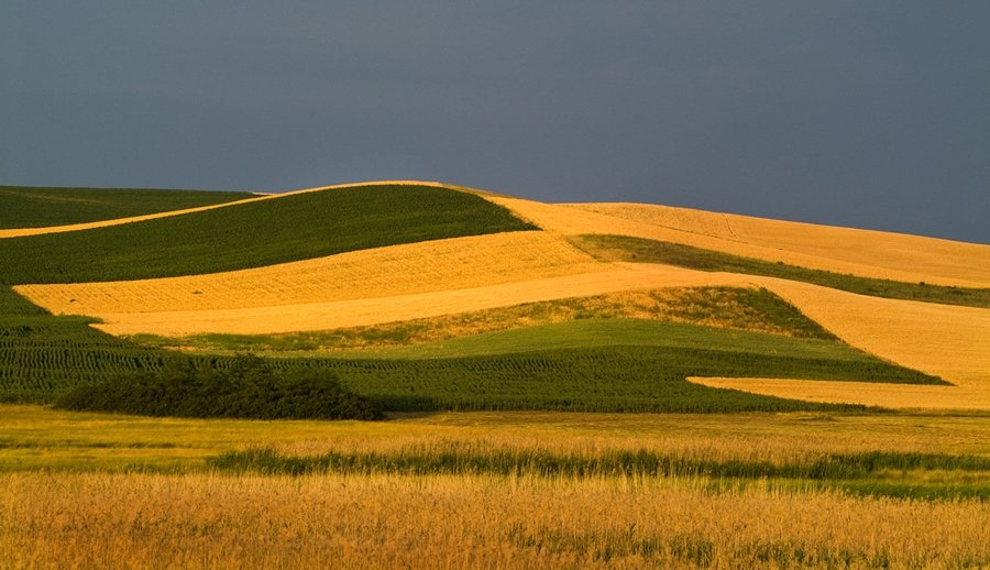 Волнистая равнина фото