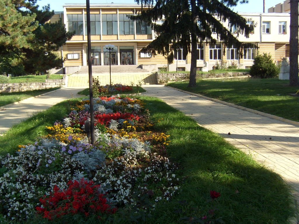 iskra-borovo.alle.bg