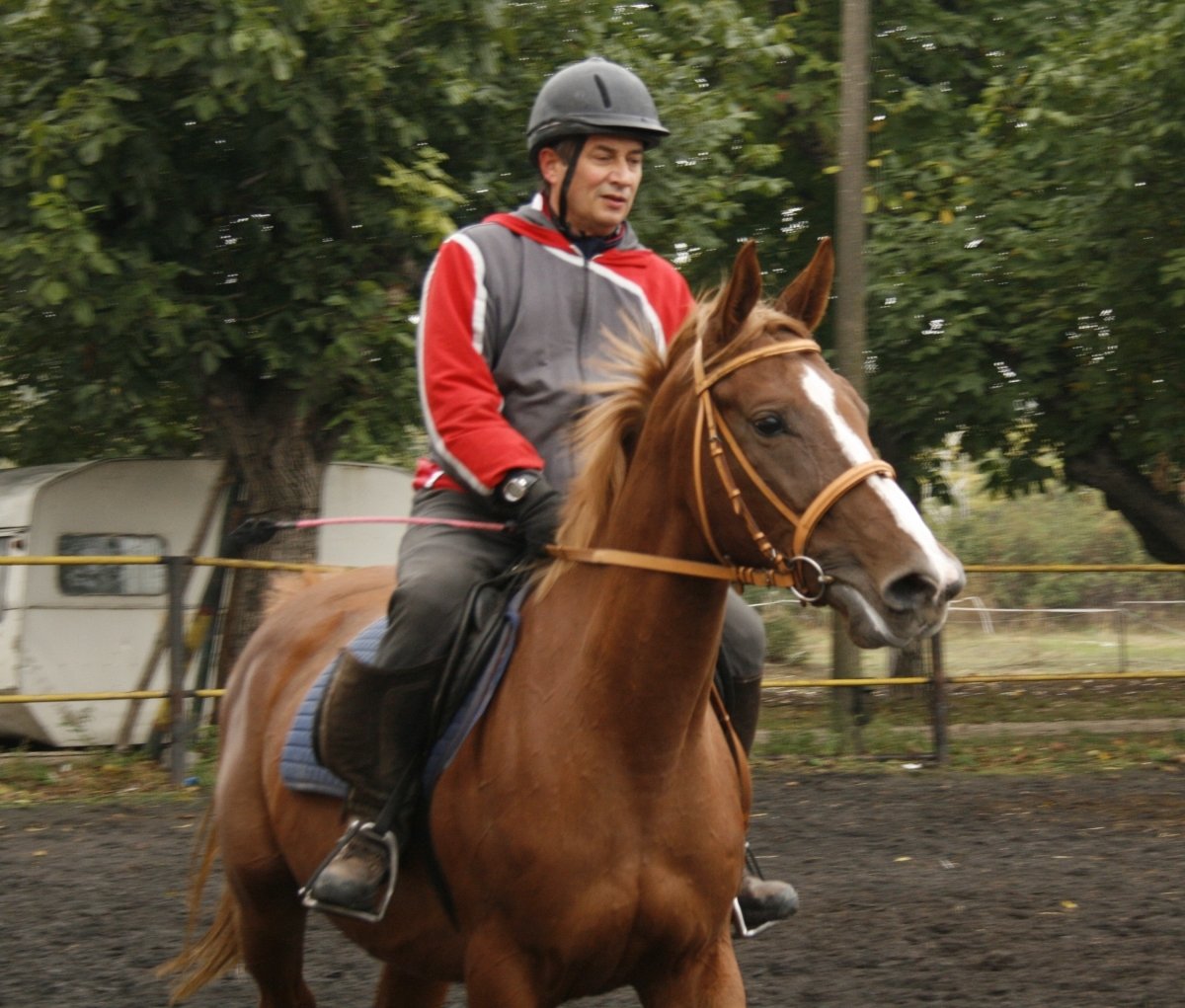 istar-horses.alle.bg
