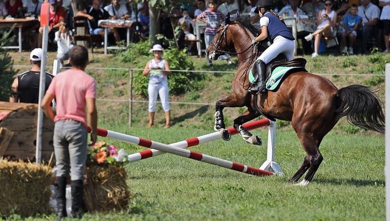 istar-horses.alle.bg