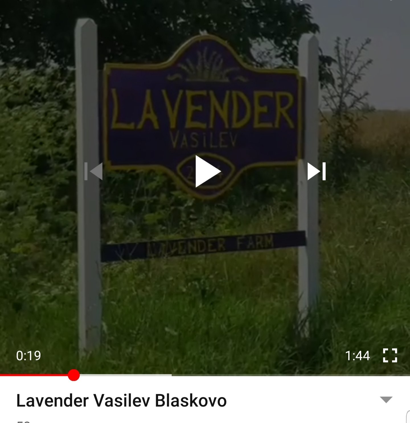 Lavender Vasilev