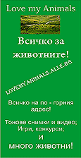 Хранителната верига