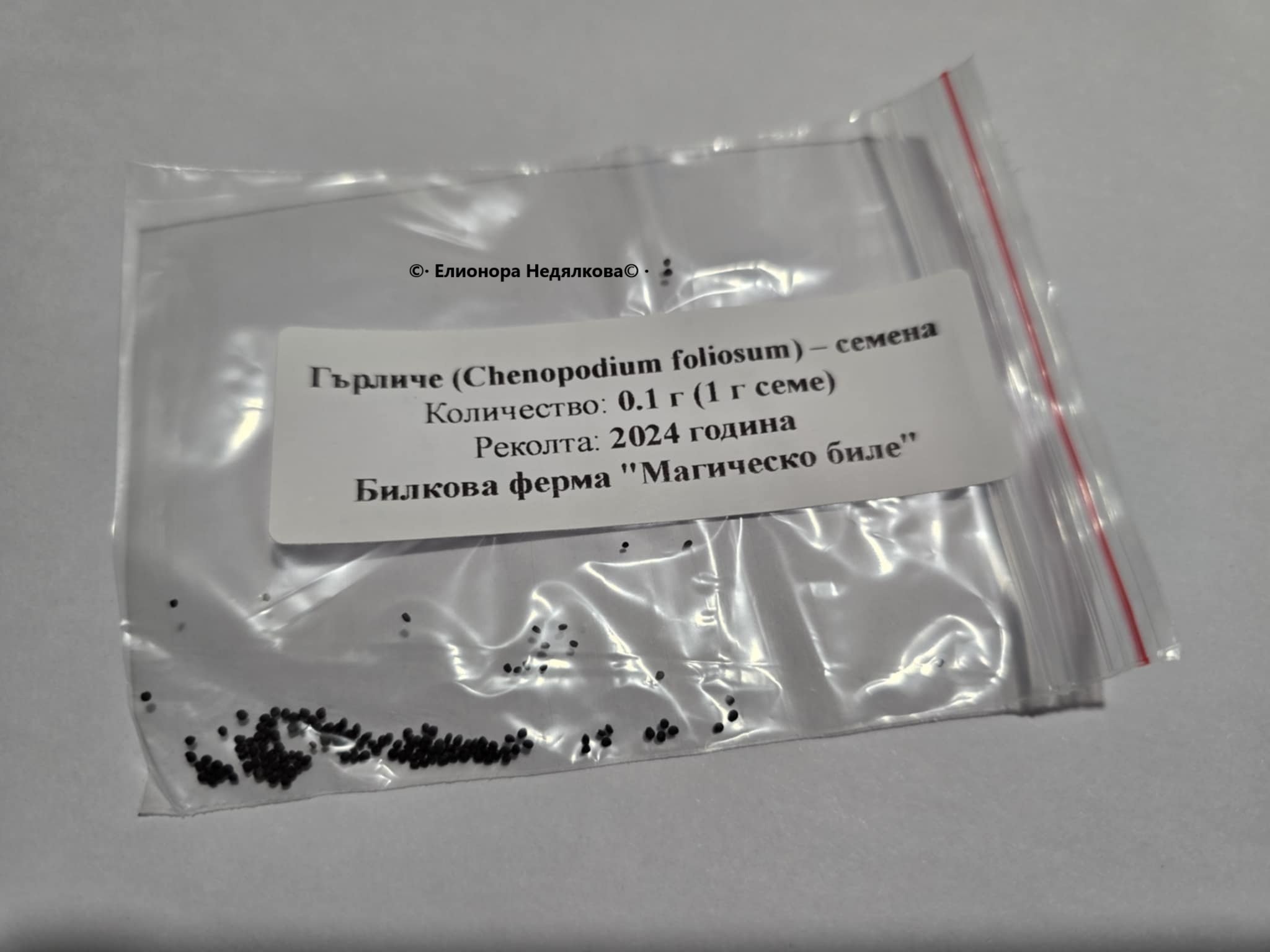Гърличе (Chenopodium foliosum) – семена