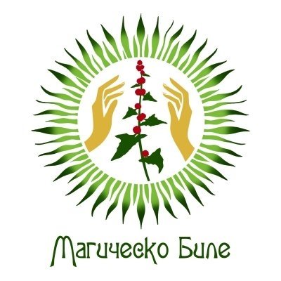 Змийско мляко (Chelidonium majus L.) маслен извлек - 60 мл (по заявка на клиента)