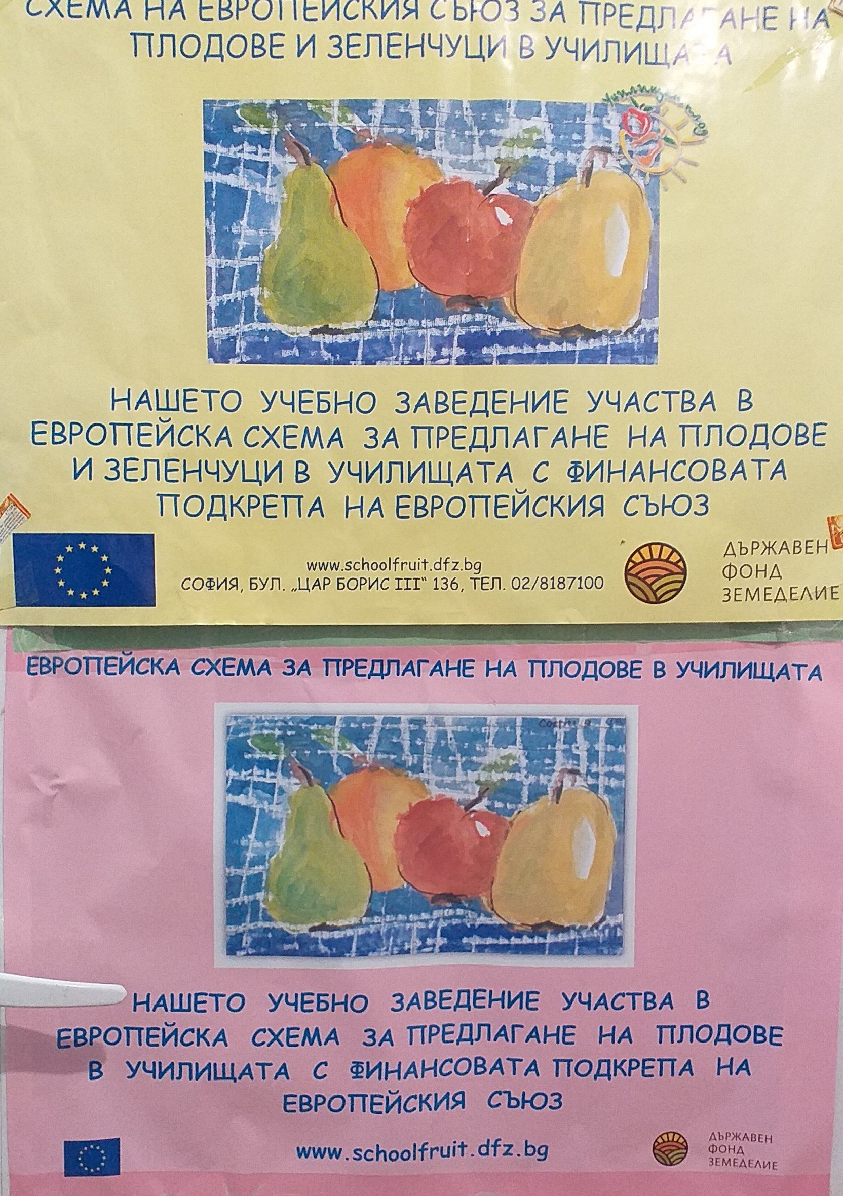 Програми и проекти
