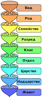 Петте царства на живите организми
