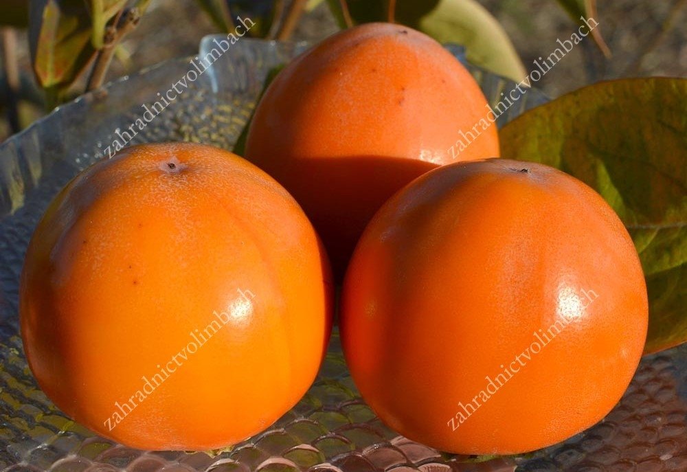 РАЙСКА ЯБЪЛКА