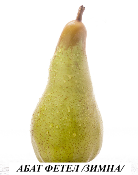 КРУША АБАТ ФЕТЕЛ