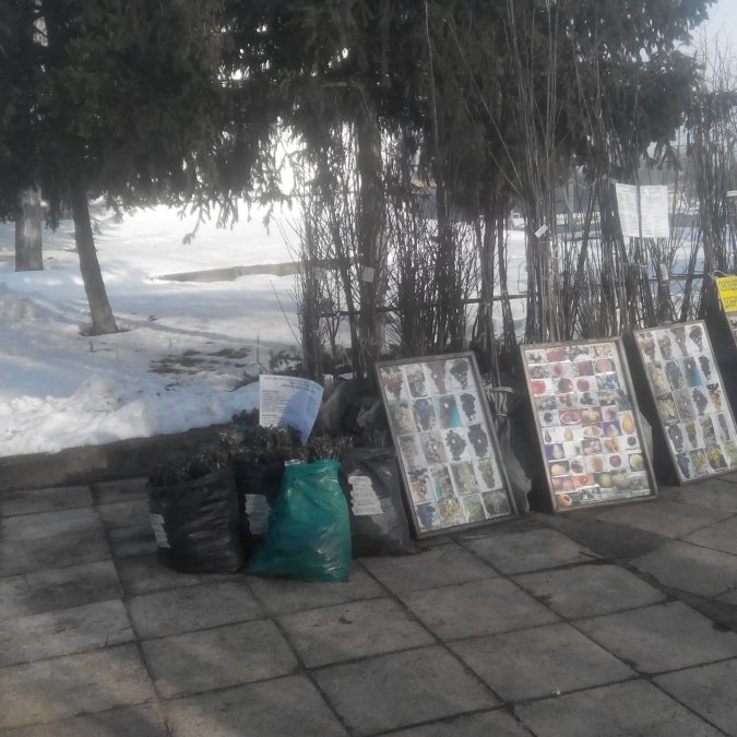 ГАЛЕРИЯ