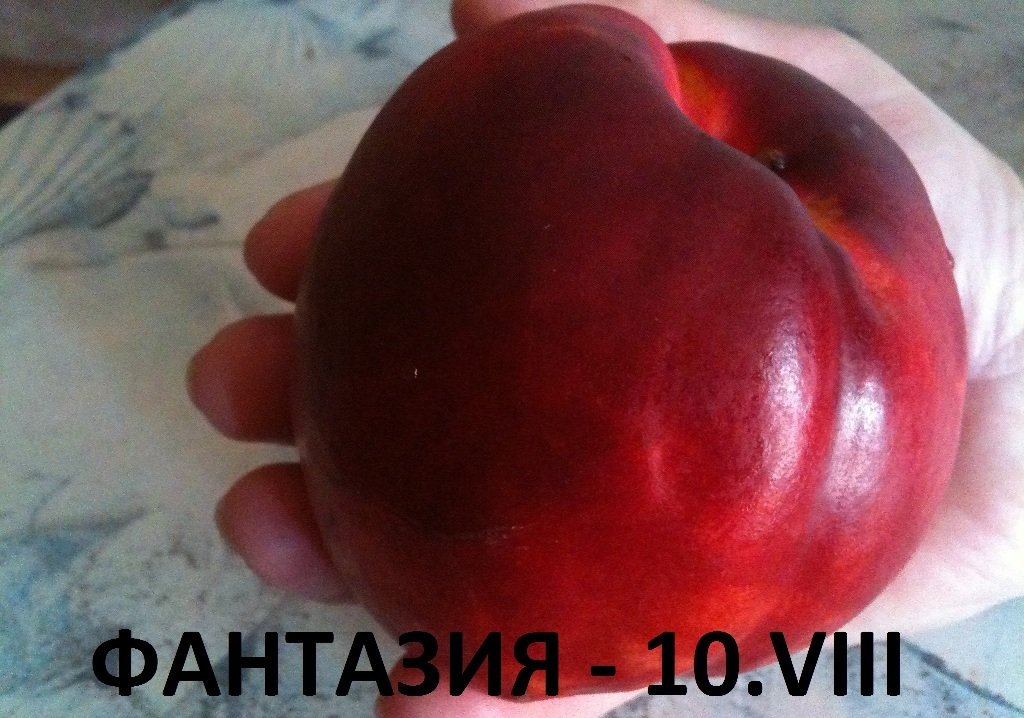 ПРАСКОВИ