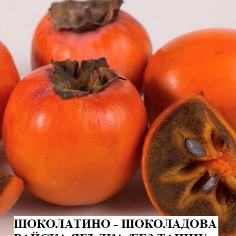 РАЙСКА ЯБЪЛКА