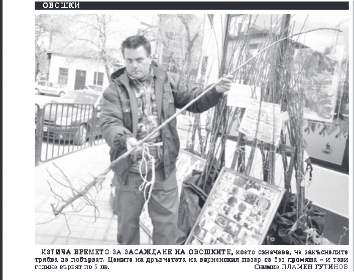 ГАЛЕРИЯ
