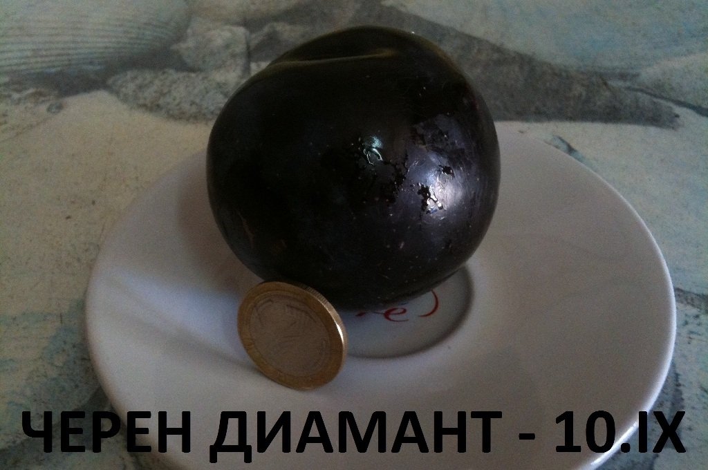 СЛИВИ