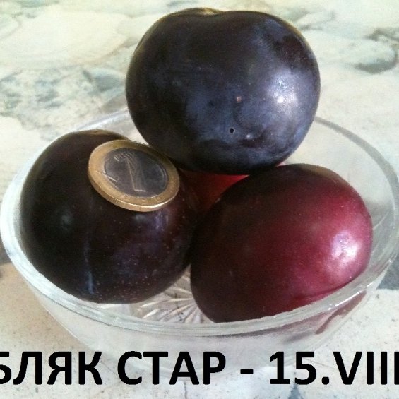 СЛИВИ