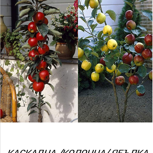 КАСКАДНИ /КОЛОННИ/