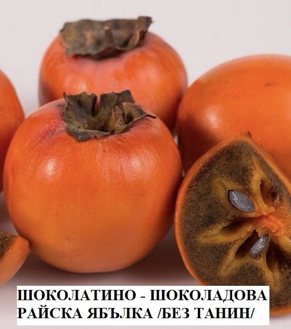 РАЙСКА ЯБЪЛКА