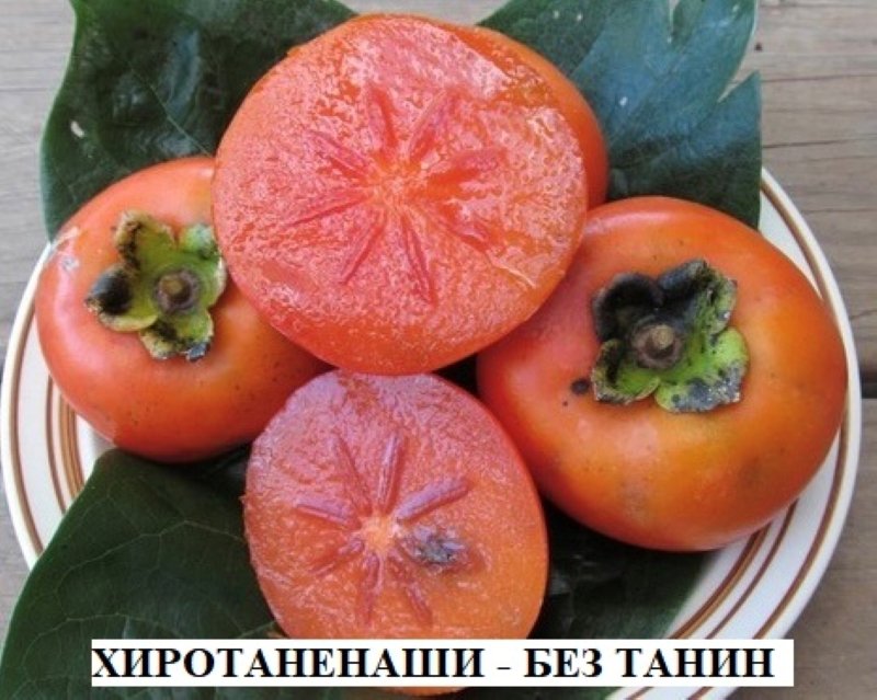 ХИРОТАНЕНАШИ