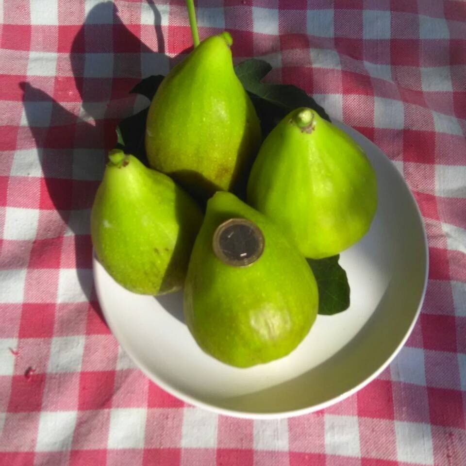 СМОКИНИ, МАЛИНИ