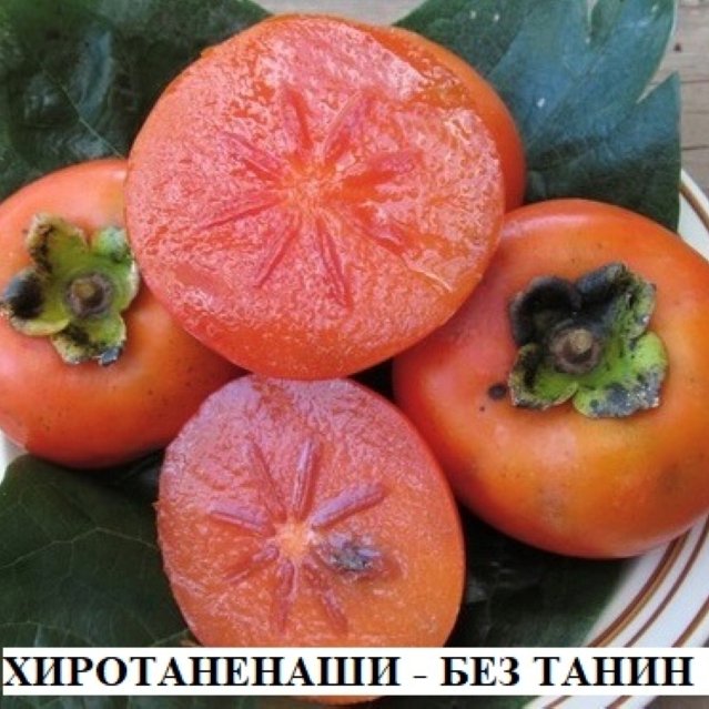 РАЙСКА ЯБЪЛКА