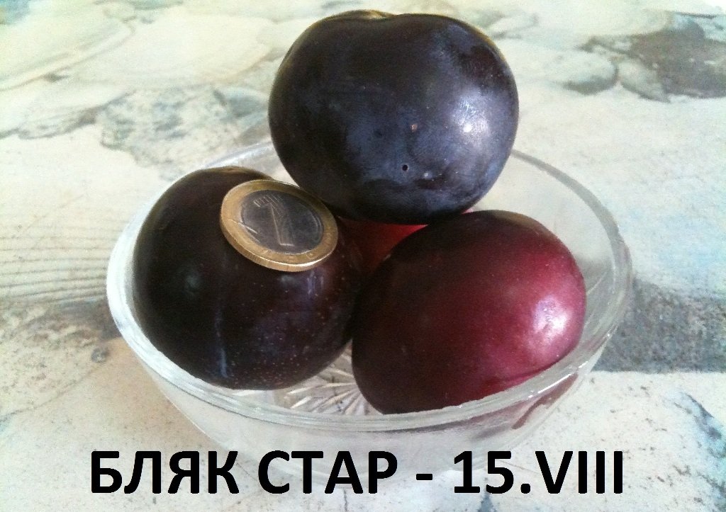 СЛИВИ