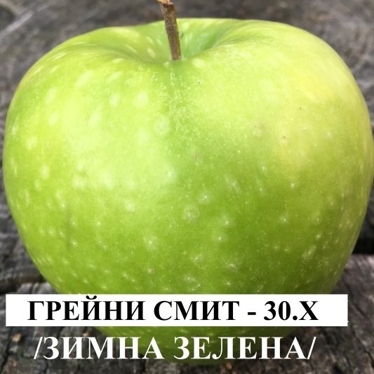 ЯБЪЛКИ