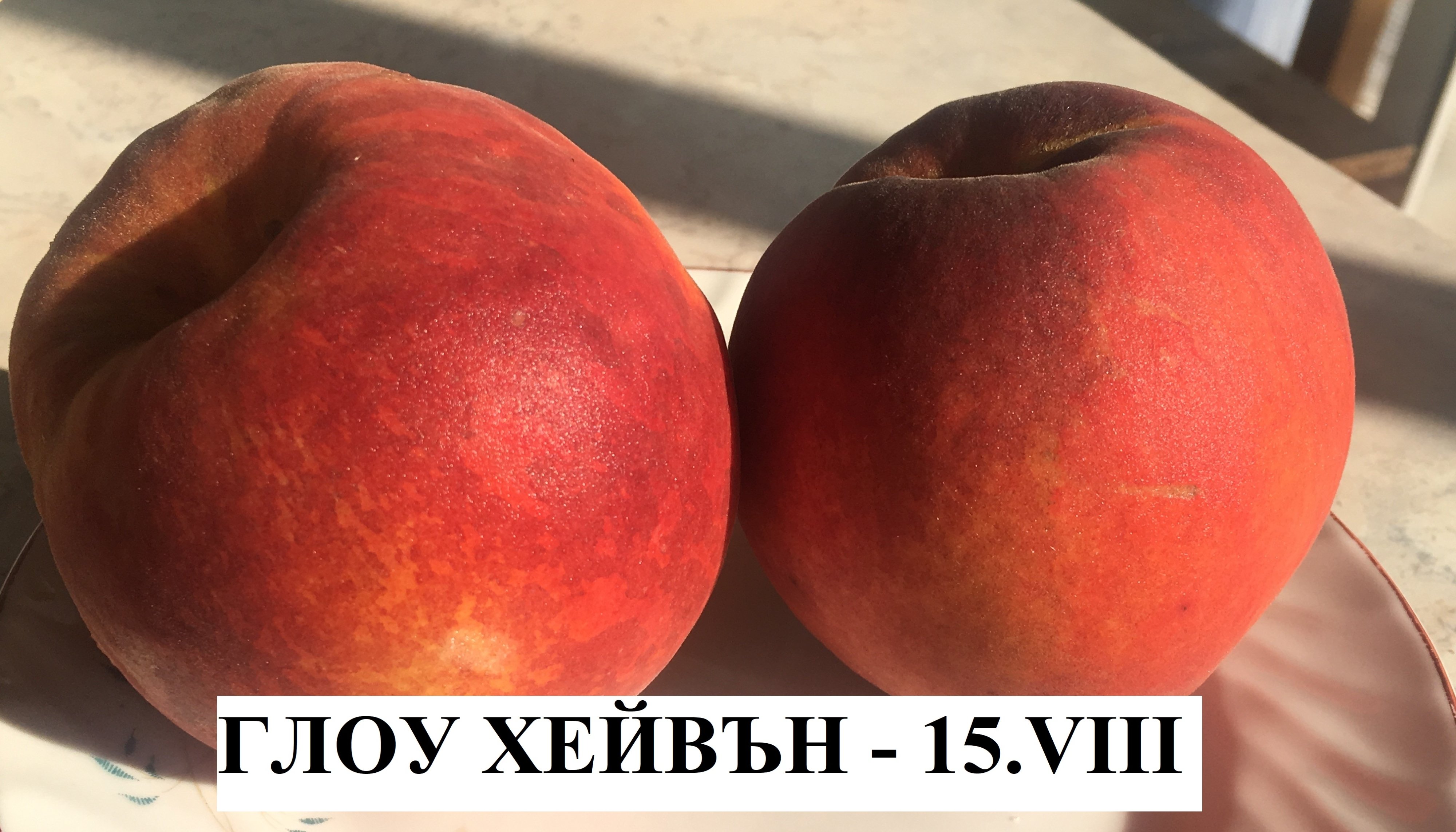 ПРАСКОВИ